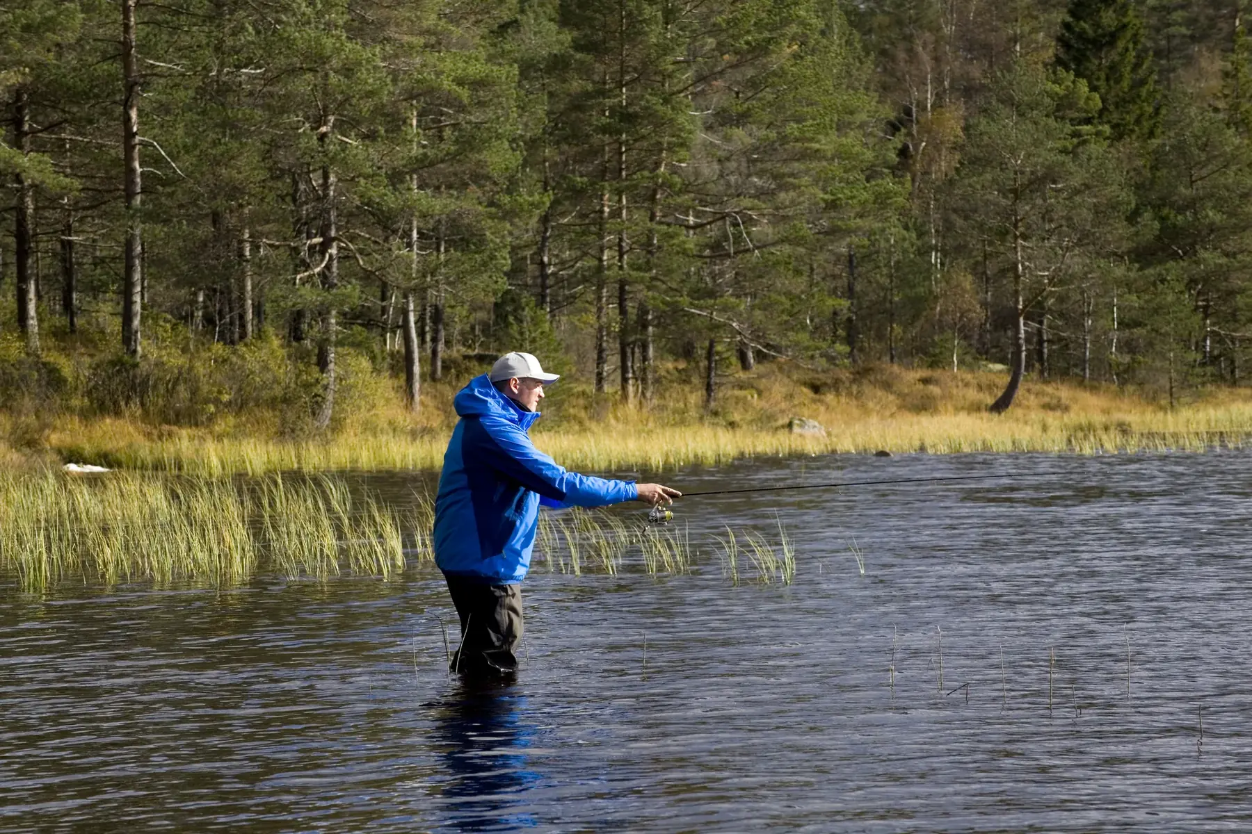 En mann står i vadere ute i et skogsvann og kaster med fiskestang