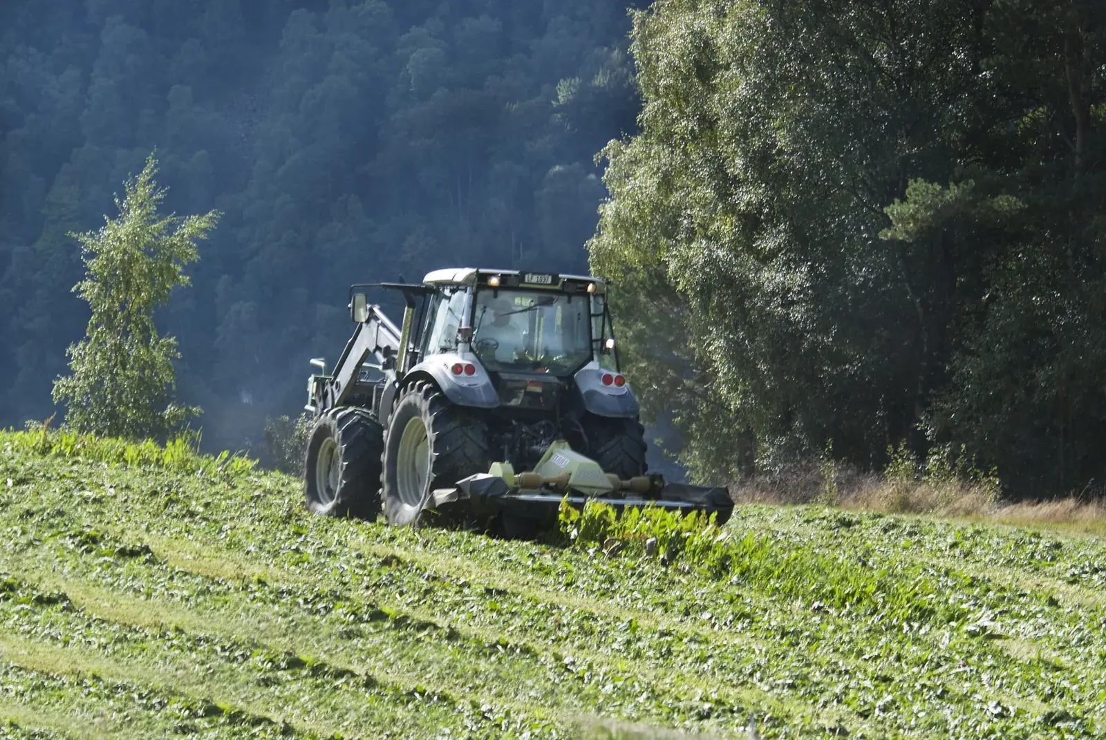 Traktor med slåmaskin på et jorde i motlys, med skogkledd li bak