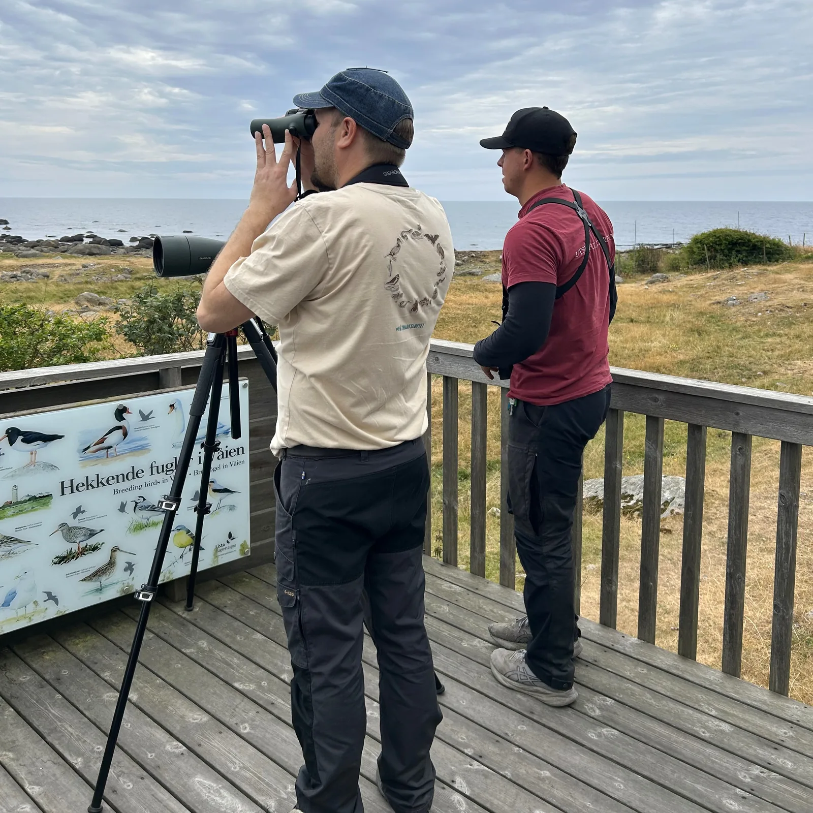Two birdwatchers on the platform at the bird hide in Våien, one with binoculars and a spotting scope on a tripod in front of him, with the sea behind and a sign about breeding birds