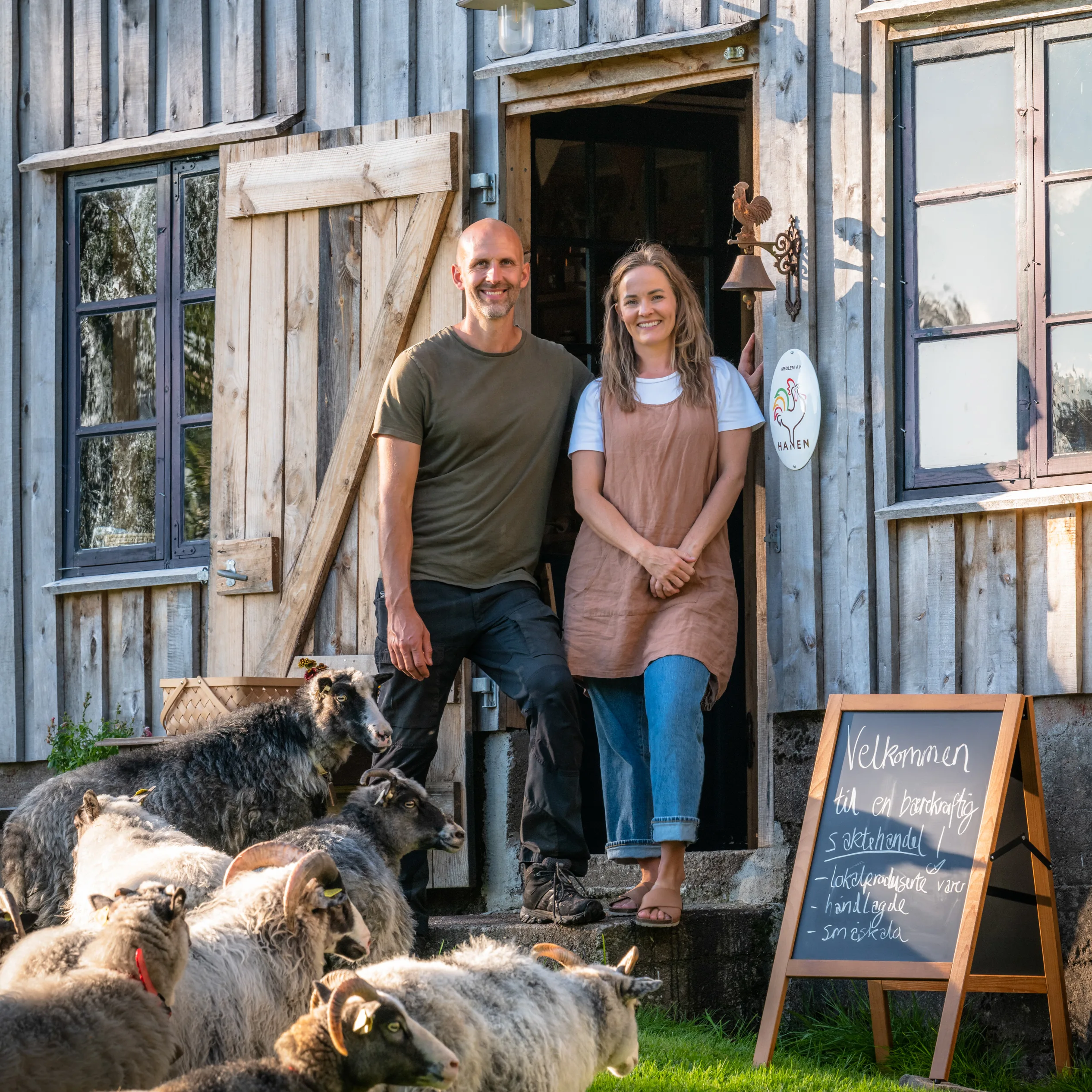 Nina og Bjarne står i døra til en gammel treløe, med villsau i forgrunnen