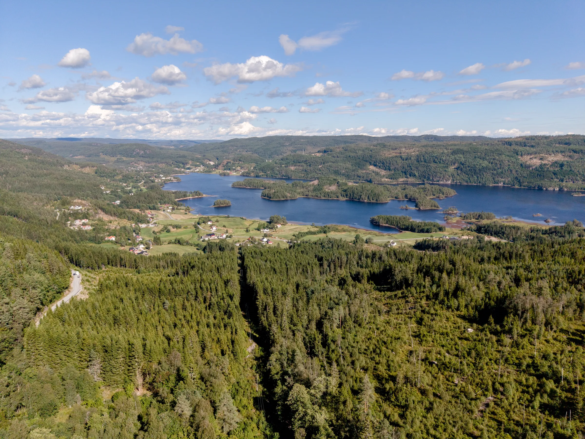 Skogkledde heier og Øvre Øydnavatnet sett fra lufta