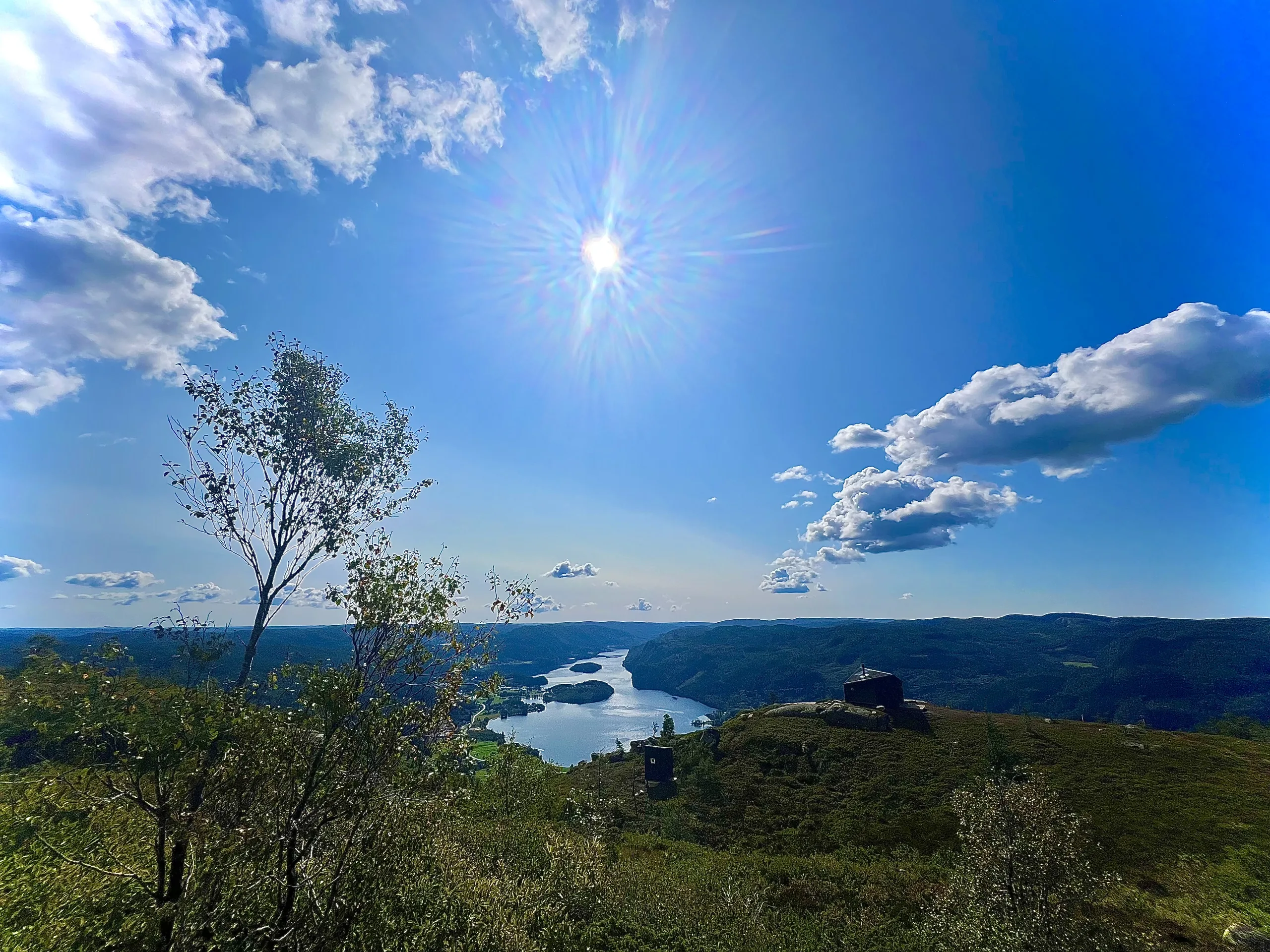 Utsikt fra Hekkfjellet i sterk sol, med et lite tre i forgrunnen og et vann nede i dalen