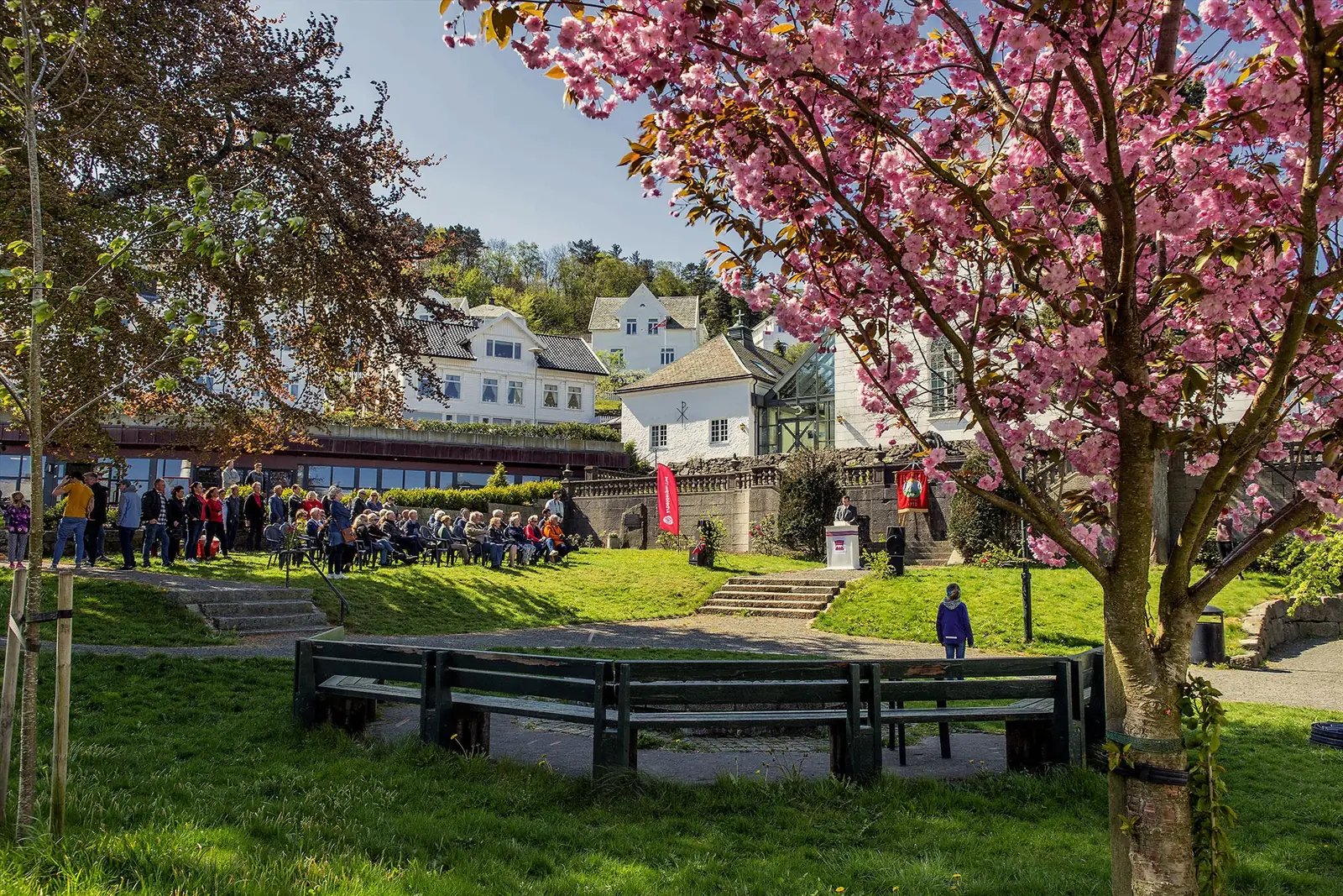 Byparken i Farsund en vårdag, med rosa kirsebærblomster, benker og folk samlet på gresset foran en scene