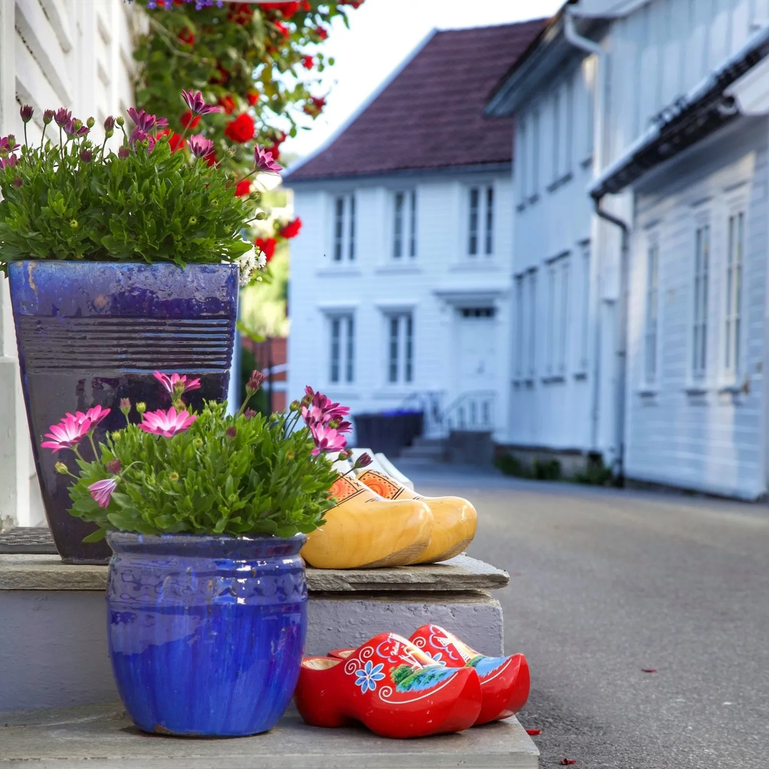 Blå krukker med rosa margeritter og en gul tresko på en trapp, hvite trehus i Hollenderbyen bak