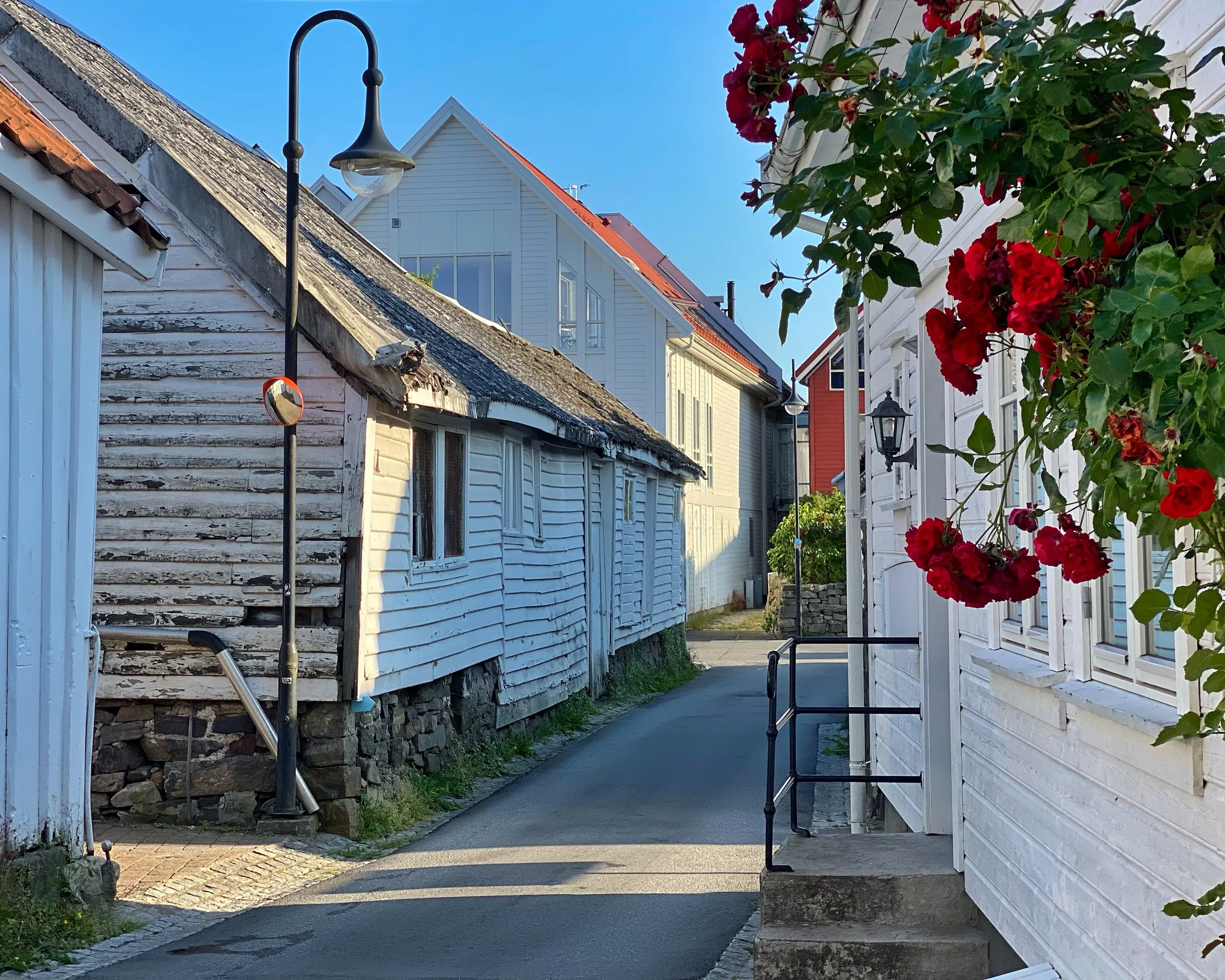 Smal gate i Hollenderbyen: gamle hvitmalte trehus med teglstein, brostein og røde roser i sola
