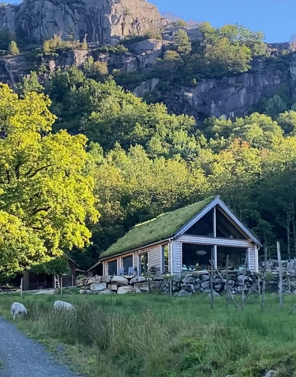 Grindbygg med torvtak på en grønn slette under bratte, skogkledde fjellvegger, med sauer som beiter langs gjerdet