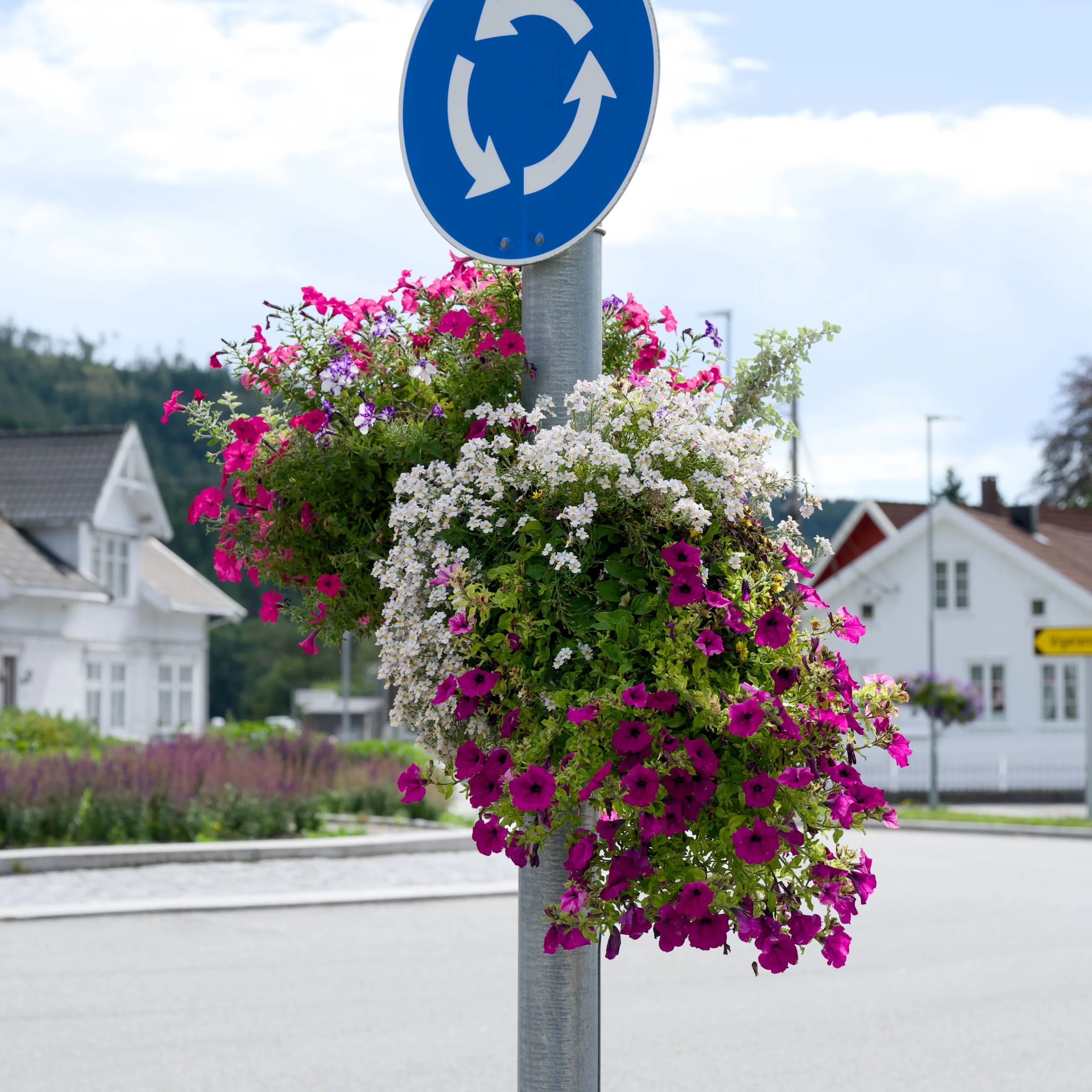 Hengende blomsterkurver i rosa og hvitt på en skiltstolpe ved rundkjøringa i Konsmo, med hvite hus bak