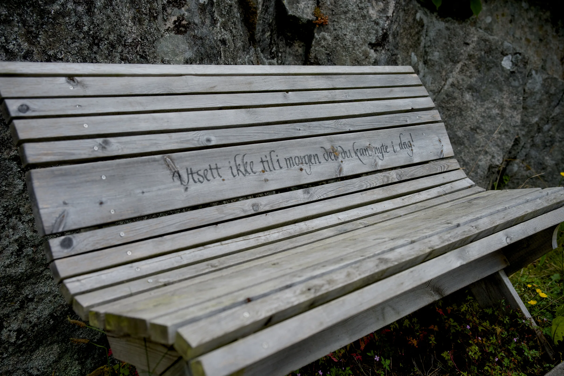 Gammel trebenk mot en fjellvegg, med teksten «Utsett ikke til i morgen det du kan nyte i dag!» skrevet på ryggen
