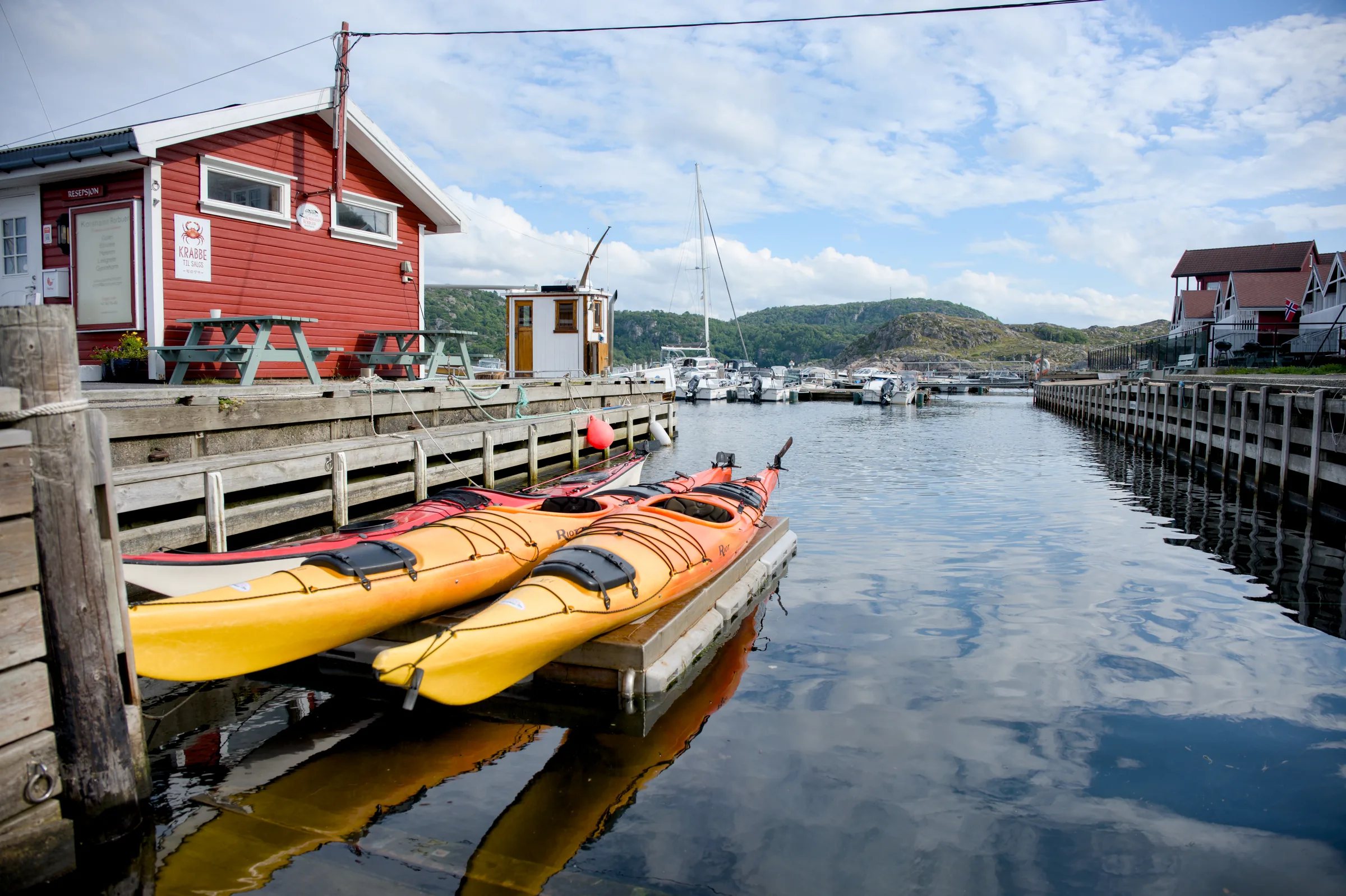 To gule havkajakker på en flytebrygge i havna, med en rød bod, båter og hvite skyer som speiler seg i det blanke vannet