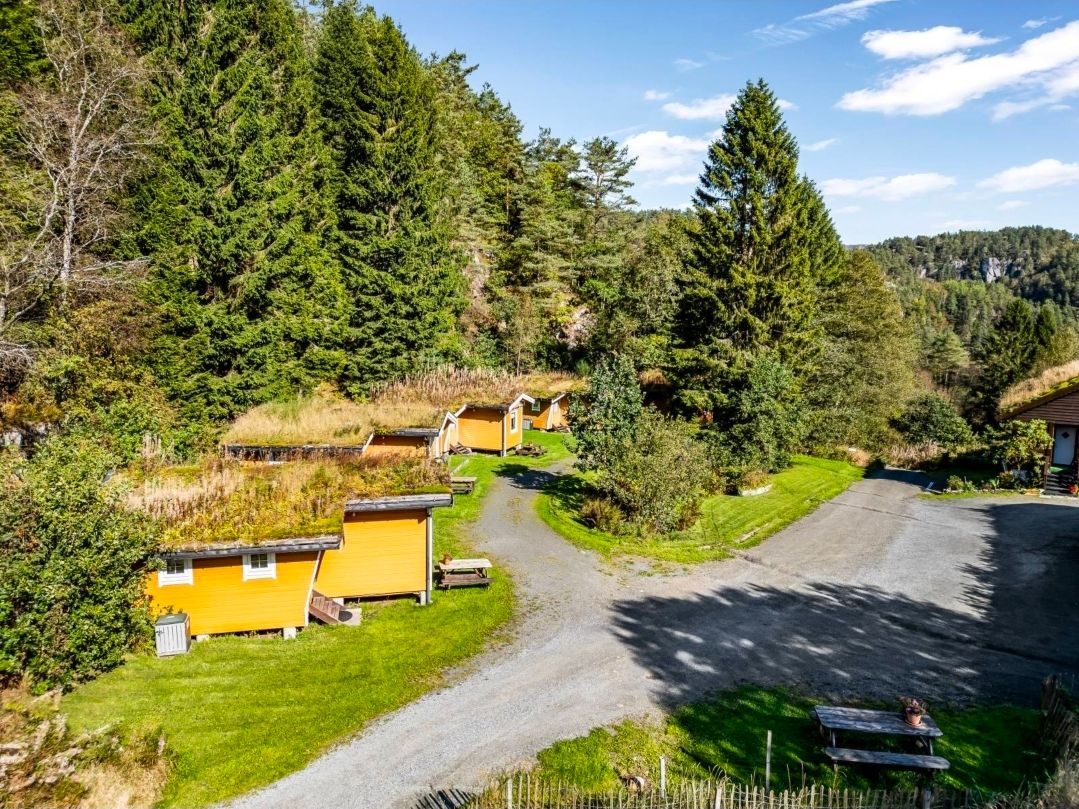 De gule hyttene ved Fosseland Hytter sett ovenfra, omgitt av tett skog.