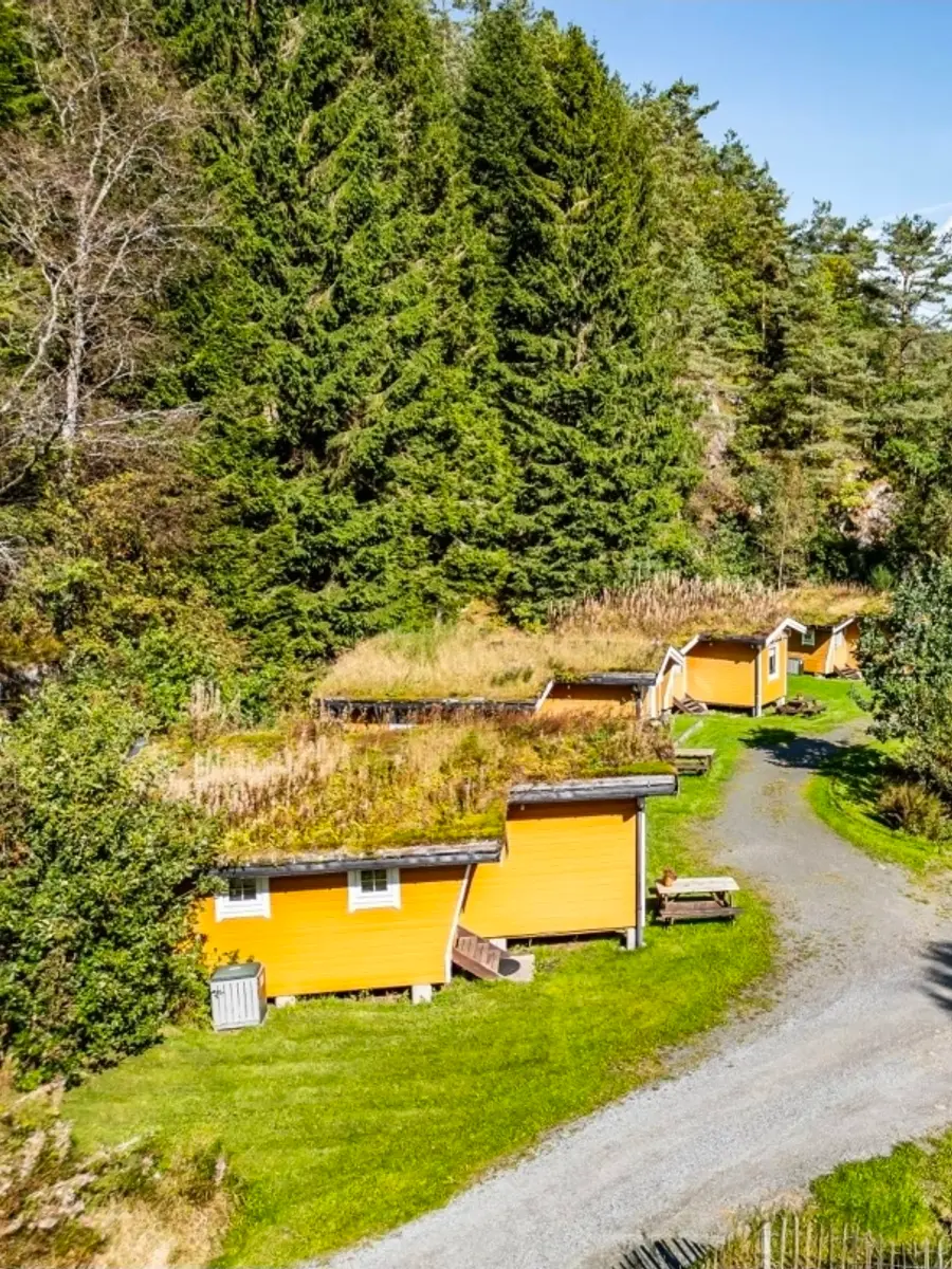De gule hyttene ved Fosseland Hytter sett ovenfra, omgitt av tett skog.