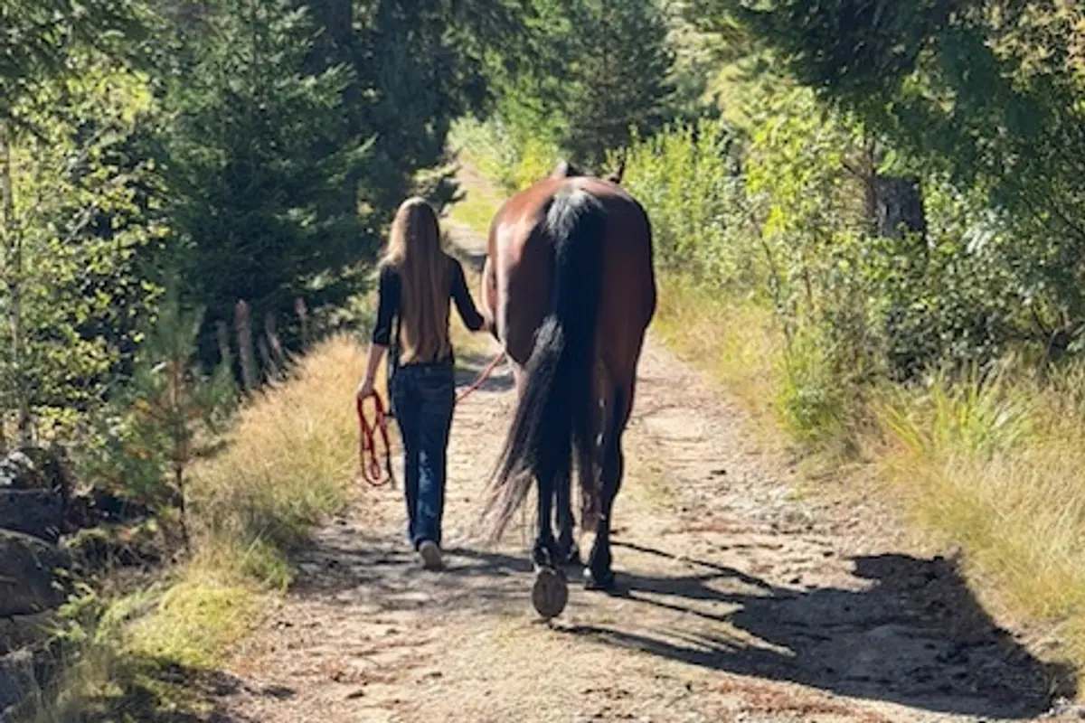 En av jentene leier hesten langs en gårdsvei omgitt av skog