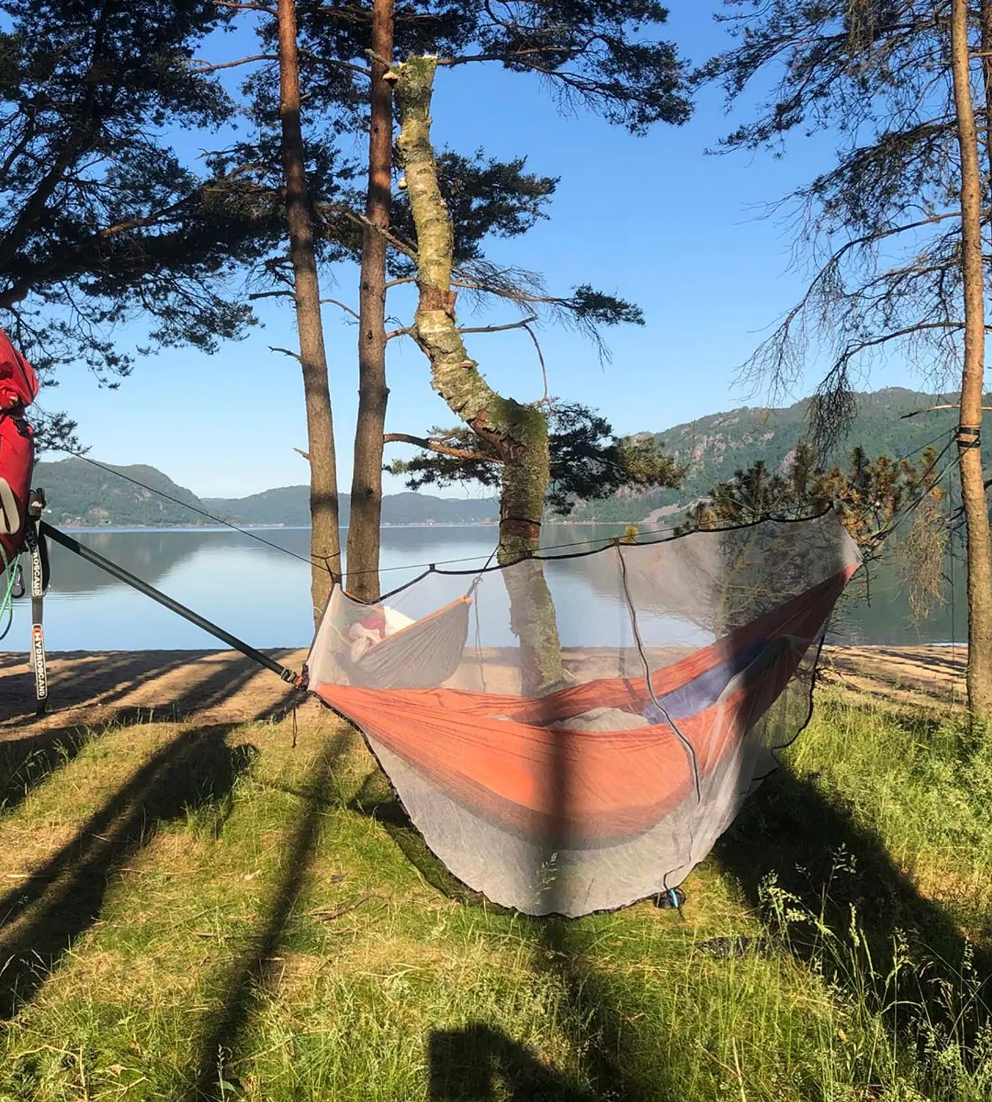 Hengekøye mellom furutrær ved vannkanten, med fjell og fjord i bakgrunnen
